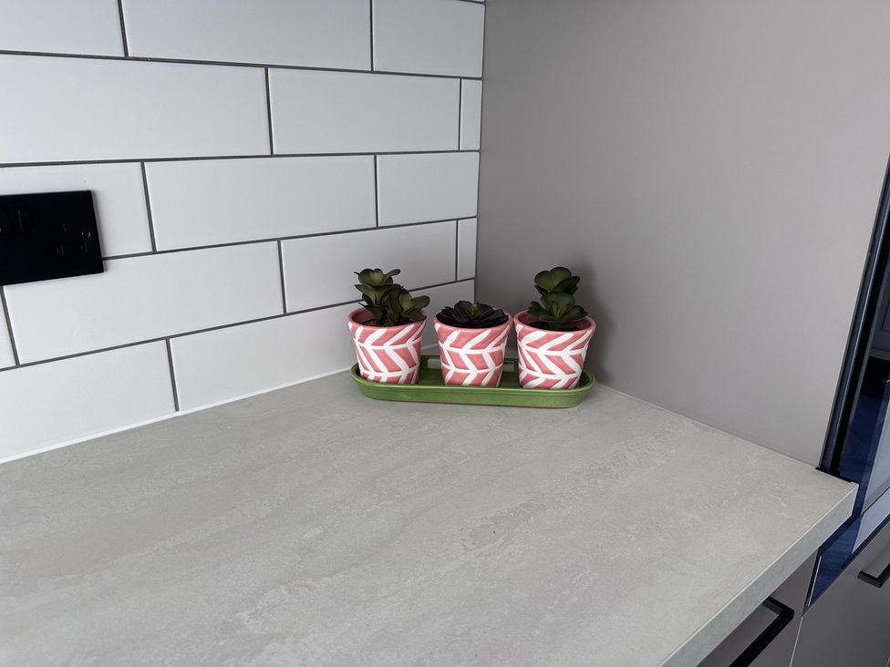 A kitchen countertop with decorative succulents in pots at 22 Fraser Avenue