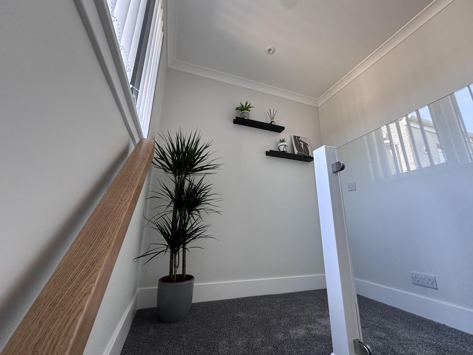 A corner area with a plant and shelves at 22 Fraser Avenue