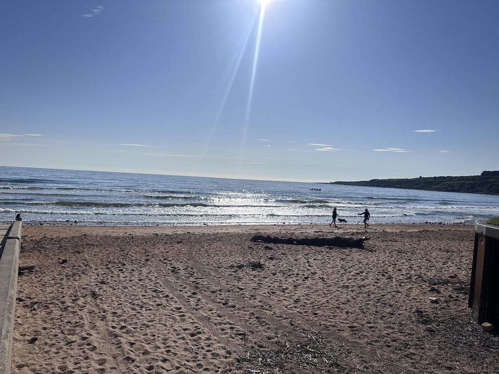 A beach with people walking a dog near the ocean at 22 Fraser Avenue 