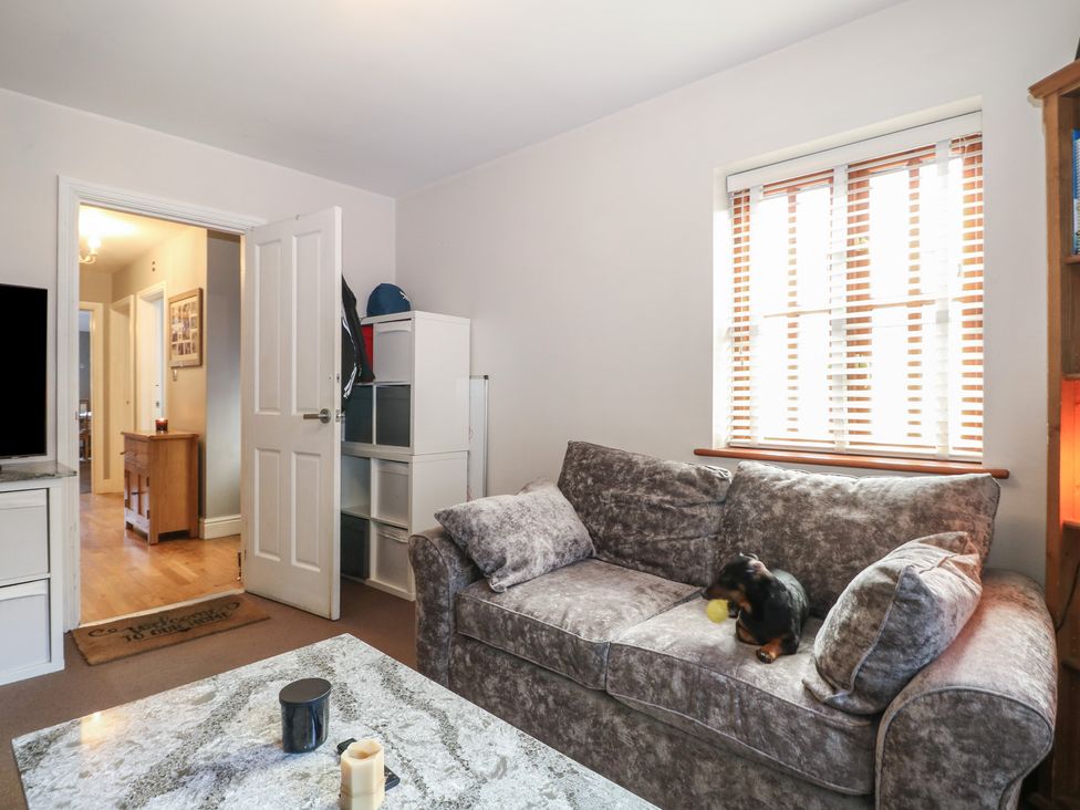 A living room with a sofa and dog playing at Tiffanys Coach House in Bournemouth