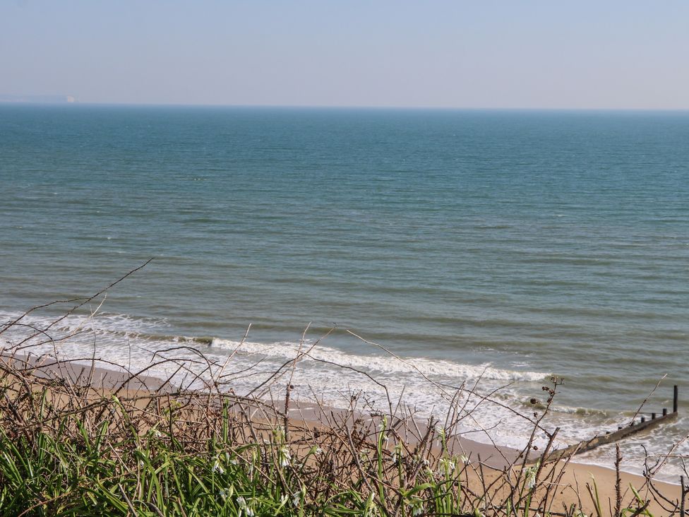 A view of the sea and beach with plants in the foreground at Tiffanys Coach House in Bournemouth