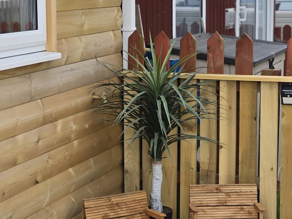 An outdoor area with a wooden fence and potted plant at 38A in Bridlington