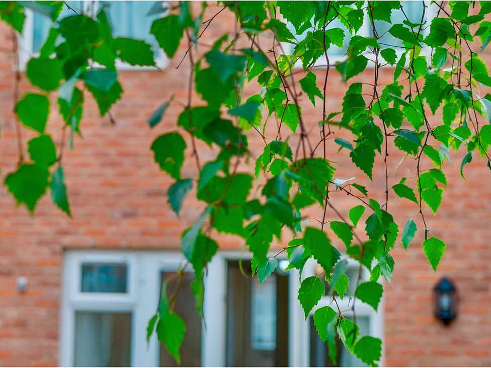 Leaves in front of a brick wall with window and door at Rochester Road in Corby