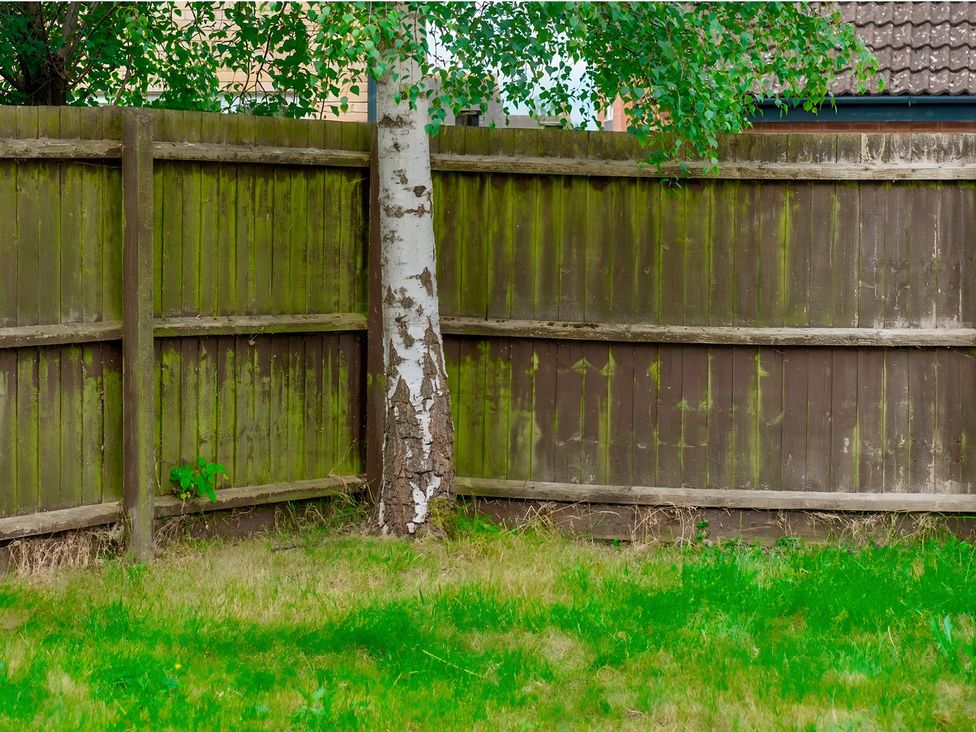 A garden with a wooden fence and a tree at Rochester Road Corby