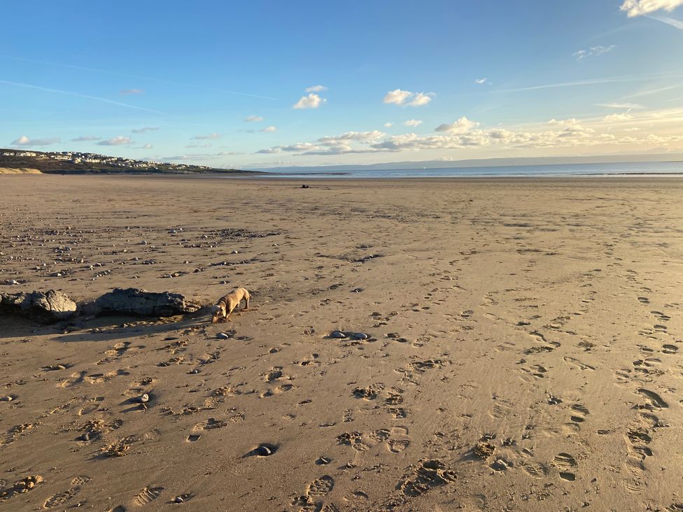 A beach with a dog on the sand at Elms 32 in Porthcawl