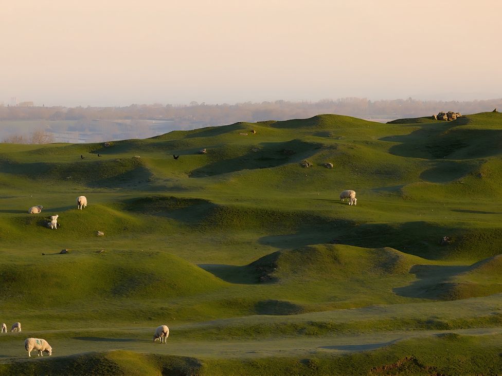 A landscape with rolling hills and sheep grazing at Evas Cottage in Southam