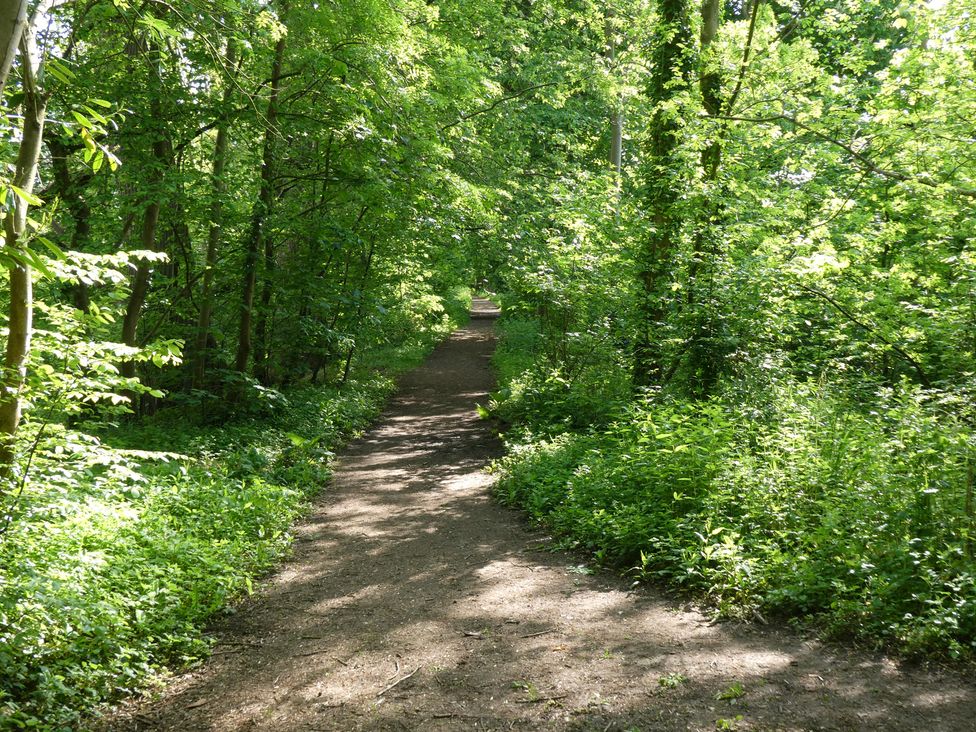 Evas Cottage - Cotswolds - 1191037 - thumbnail photo 39