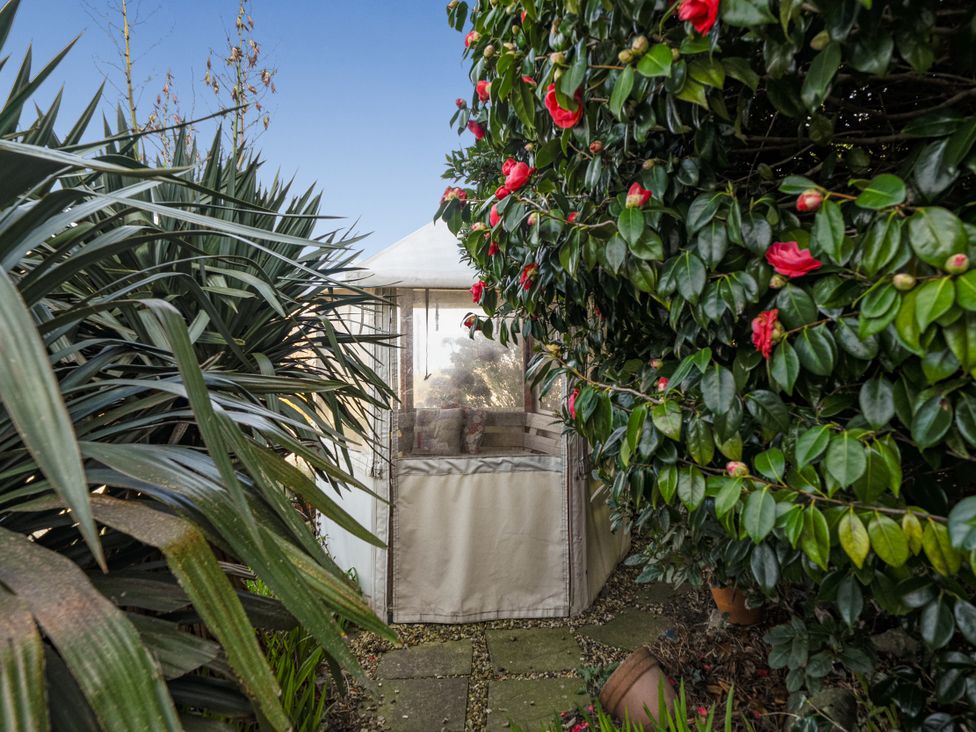 A garden with a tent surrounded by plants at Sea View Escape in Penmaenmawr