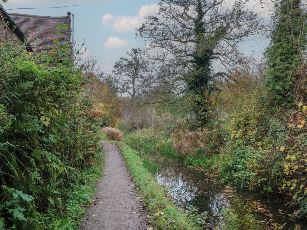A path alongside a stream with trees and bushes at Meadow View Cottage Matlock