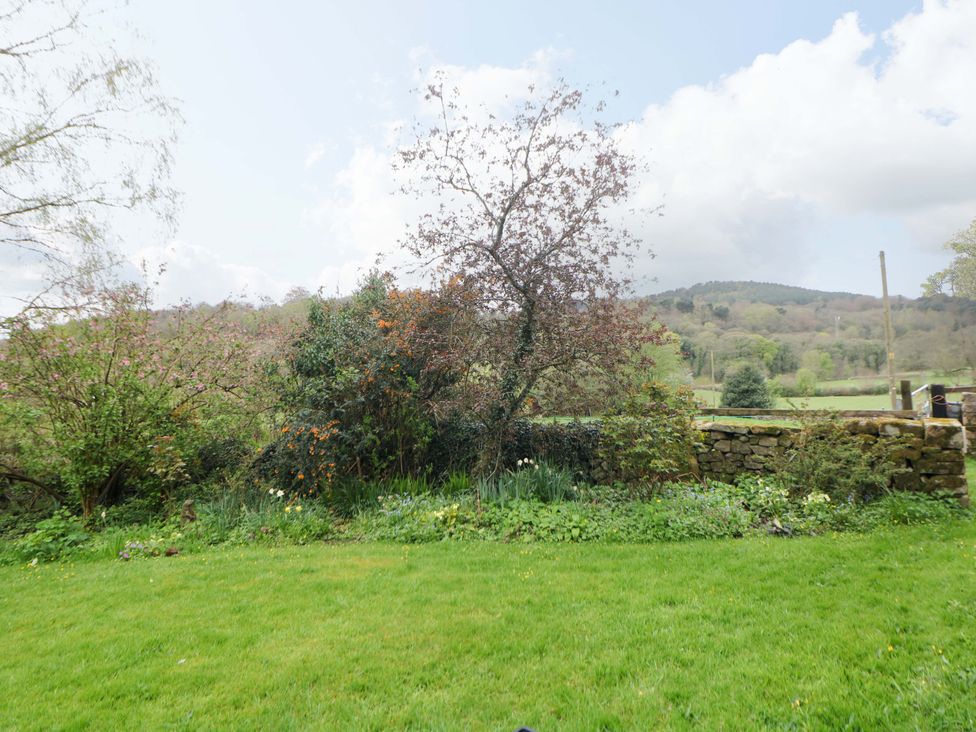 A garden with grass, trees, and a stone wall at Meadow View Cottage Whatstandwell near Crich