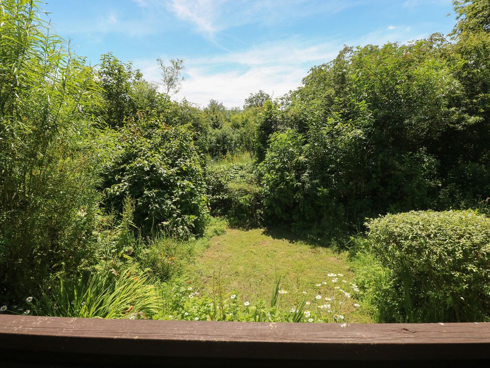 A garden area with grass and bushes at Rumenco Horse Lorry