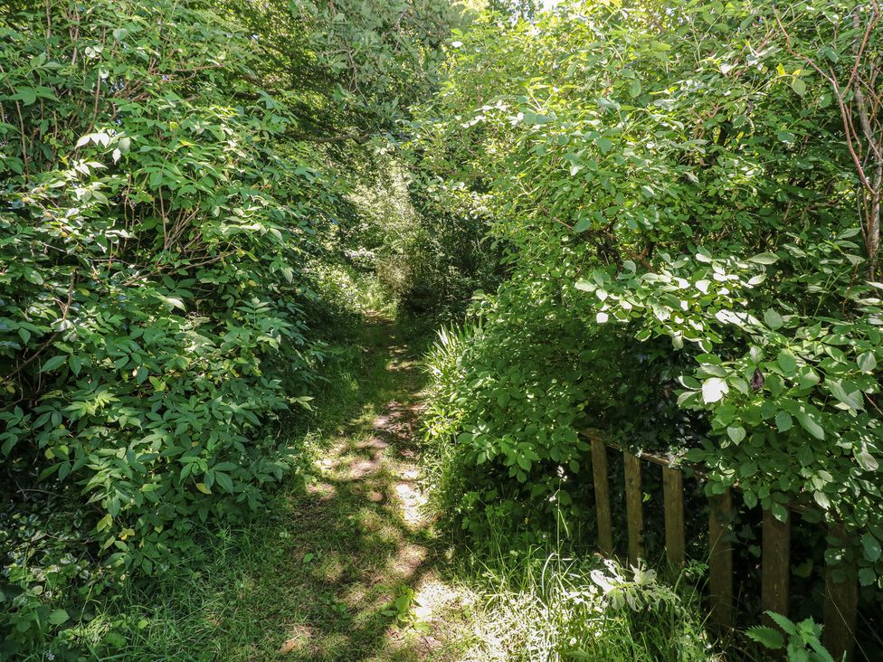 A pathway surrounded by greenery at Rumenco Horse Lorry in 