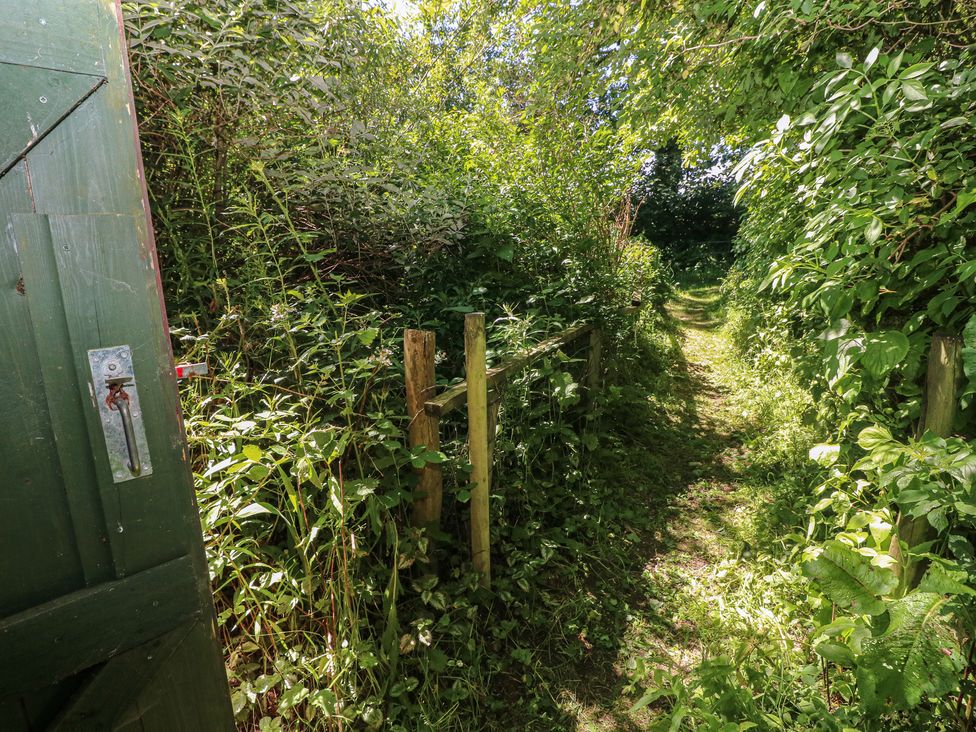 A path surrounded by vegetation at Rumenco Horse Lorry