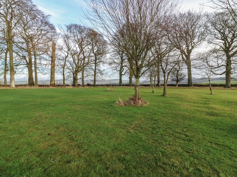 A field with trees and grass at Balmashanner Farmhouse in Forfar