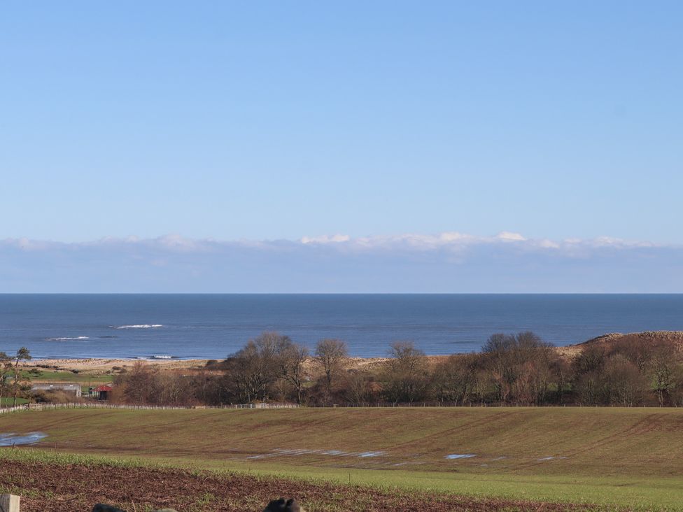 A view of the sea with grassland and trees at Harry's Cottage in Embleton