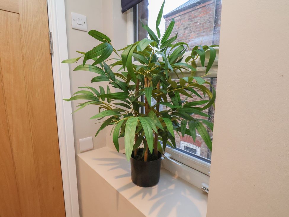 A plant on a window sill at Apartment 2, Blackburn Heights in Bridlington