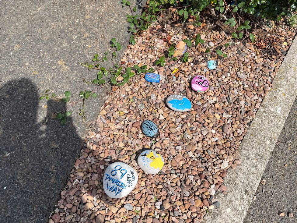 Painted rocks on gravel at 89 Tangfish Way Exmouth