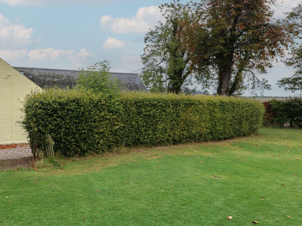 A garden with a hedge and grass at Bankhead Of Lour Cottage Forfar