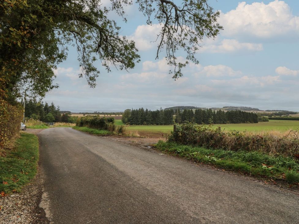 A road with fields and trees in the background at Bankhead Of Lour Cottage Forfar