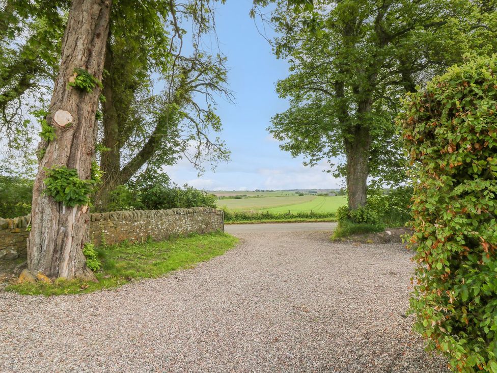 A gravel driveway with trees and fields at Bankhead Of Lour Cottage Forfar