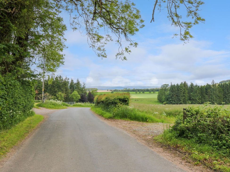A view of a road surrounded by trees and fields at Bankhead Of Lour Cottage Forfar