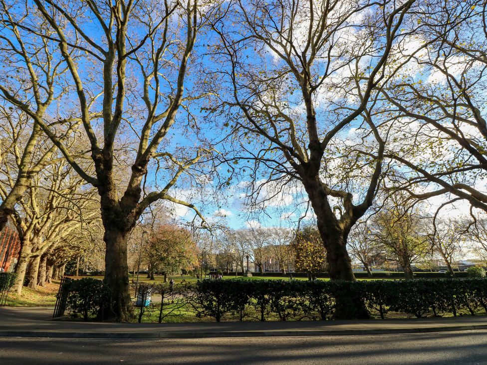A view of trees and grass in a park at 53 Orchard Place