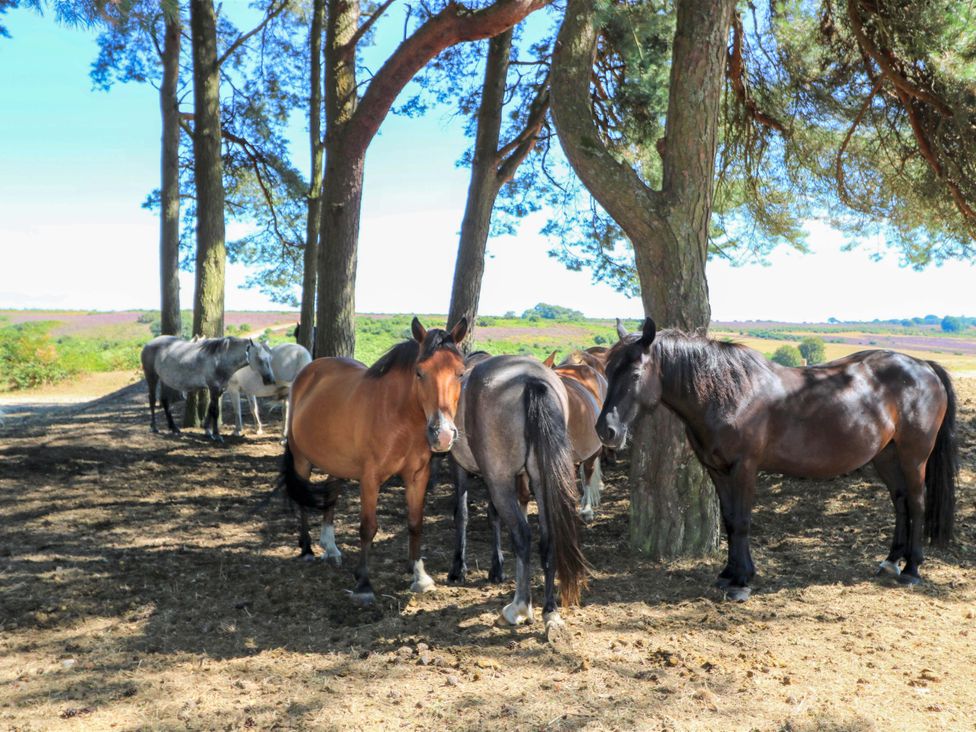 53 Orchard Place - Hampshire - 1191251 - thumbnail photo 30