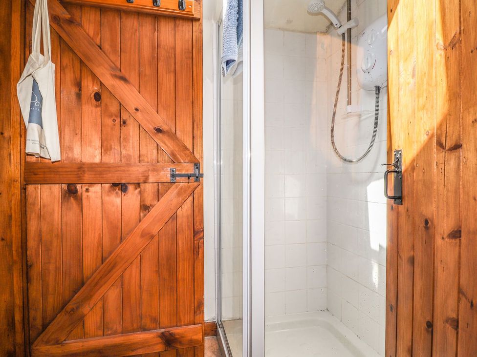 A bathroom with a shower and wooden door at Ty Felin in Newport