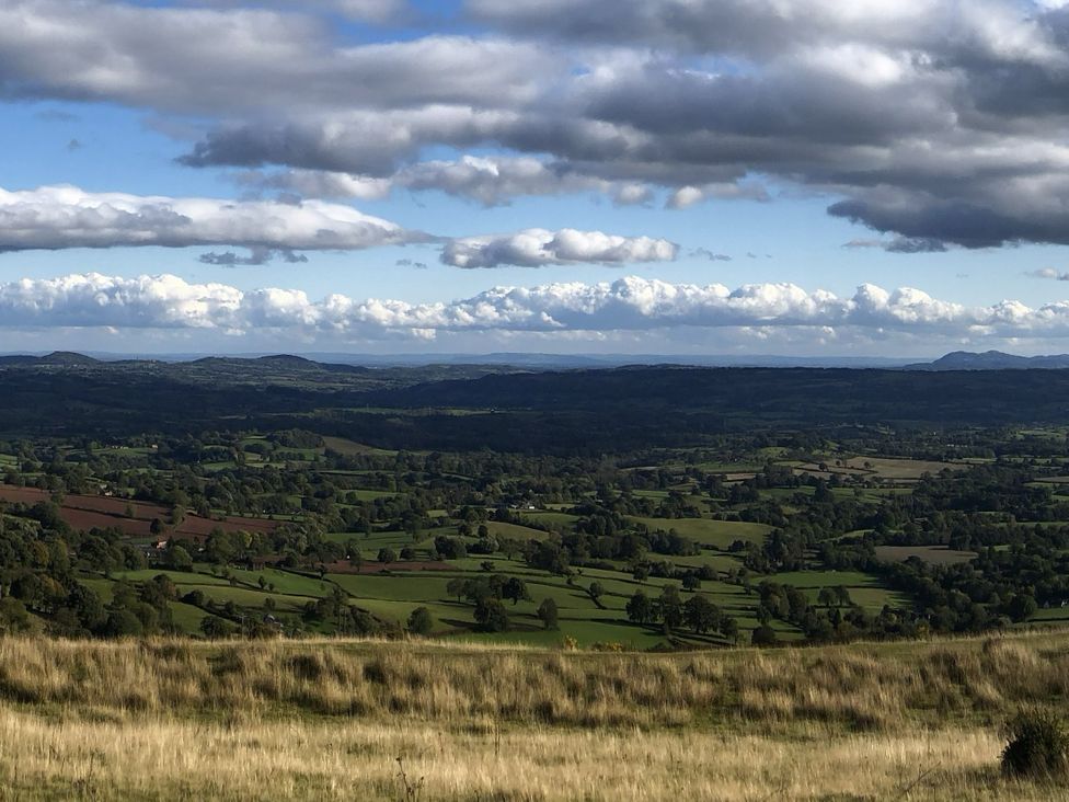Bumble Bee at 2 Clematis Cottage - Shropshire - 1191348 - thumbnail photo 23