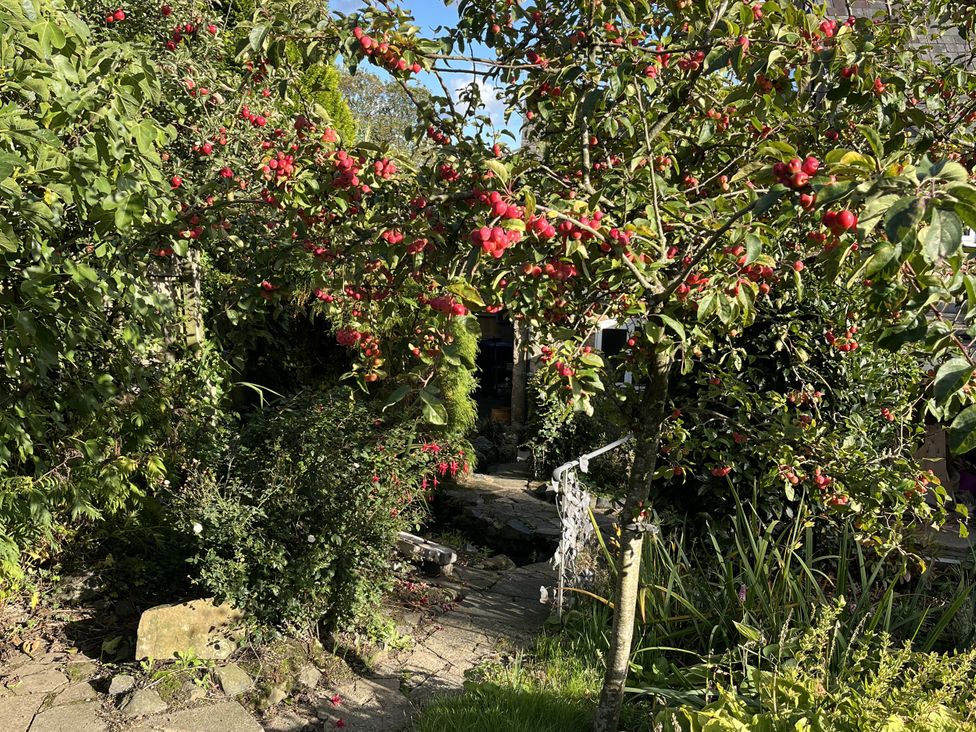 A garden with a pathway and flowering plants at Bumble Bee at 2 Clematis Cottage near Clee Hill