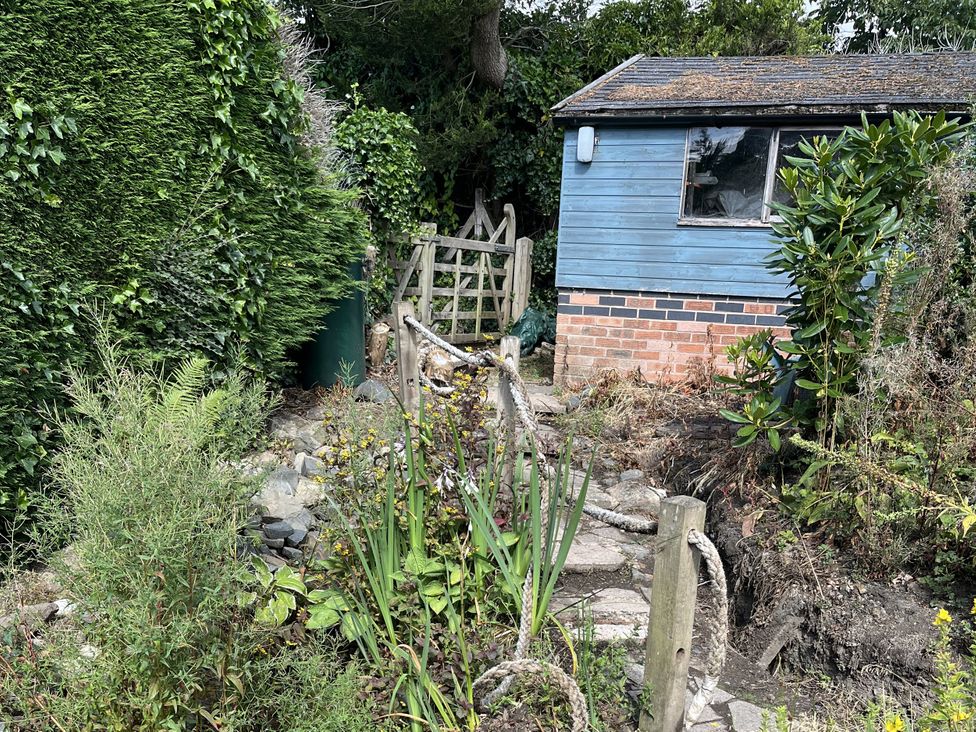 A garden with a shed and plants at Bumble Bee at 2 Clematis Cottage near Clee Hill