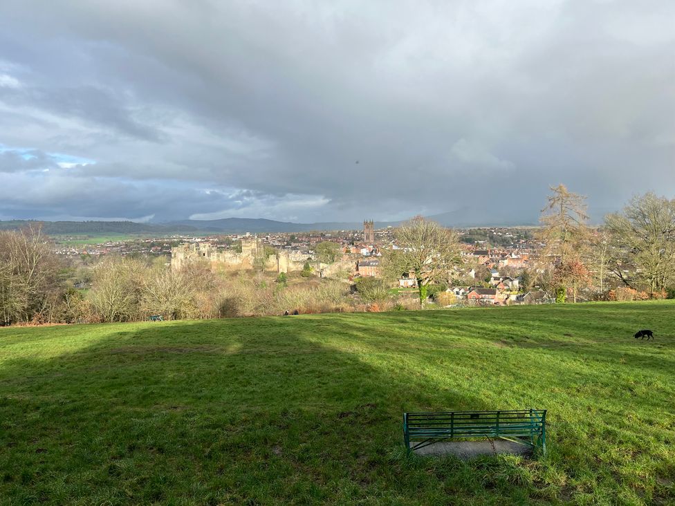 A view of a town from a grassy area at Bumble Bee at 2 Clematis Cottage near Clee Hill