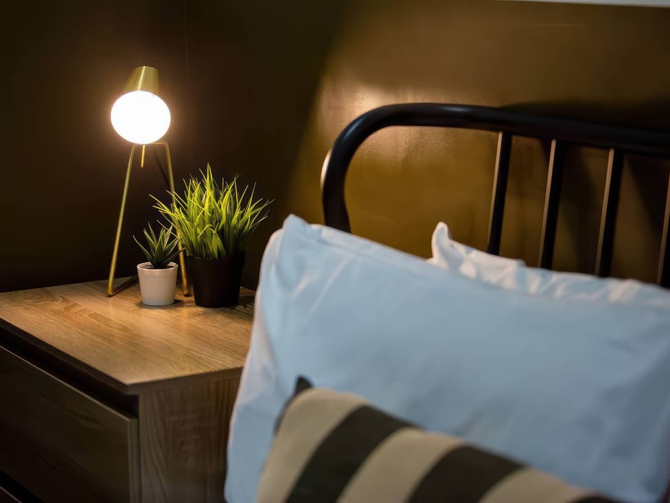 A bedroom with a lamp and plants on a nightstand at Aspen Apartment in Llanrwst
