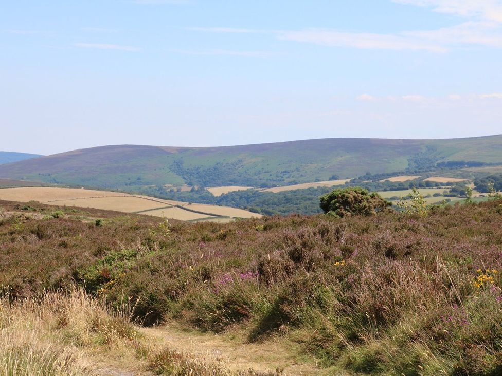 A landscape view with hills and heather in the foreground at The Old Workshop
