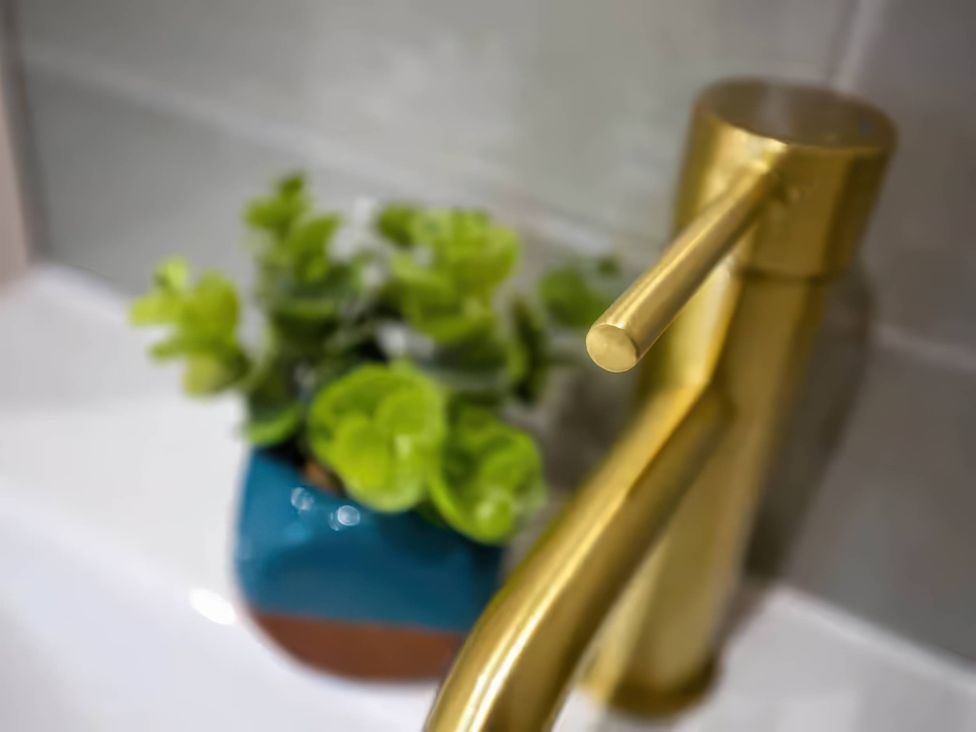 A faucet and a plant in a pot in a bathroom at Ash Cottages Llanrwst