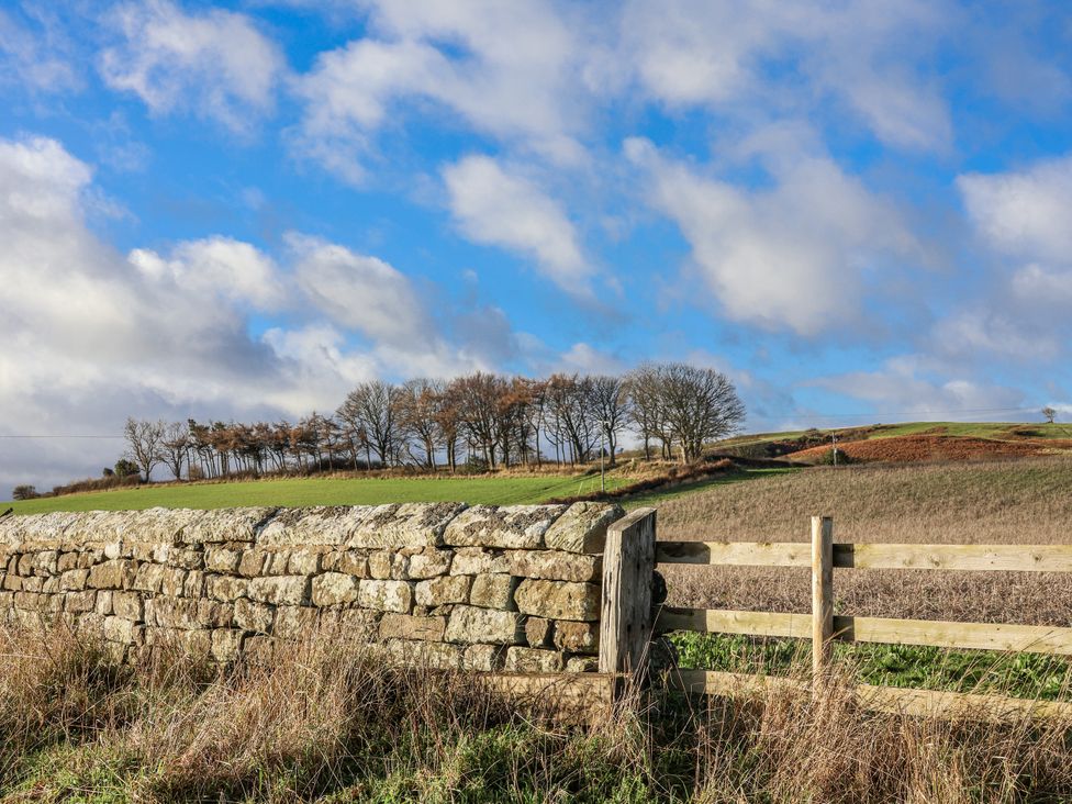 A stone wall and wooden gate in a field with trees in the background at Chestnut Barn Aislaby near Whitby