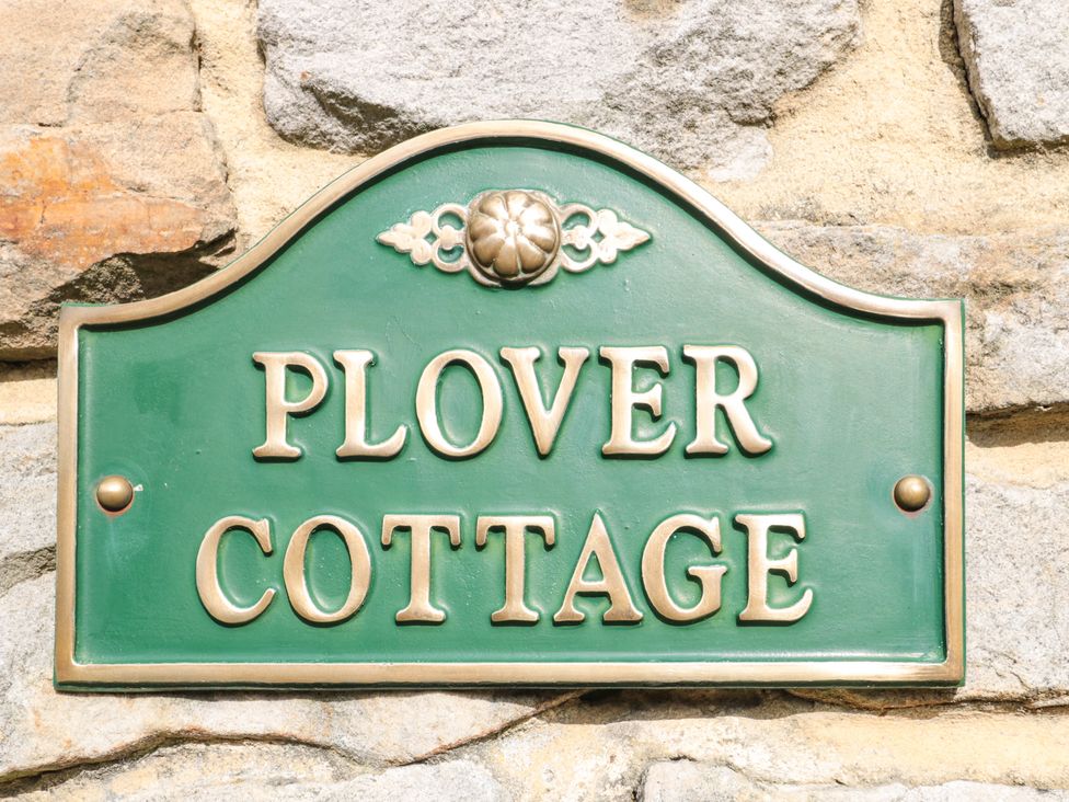 Plover - Northumberland - 11914 - thumbnail photo 3