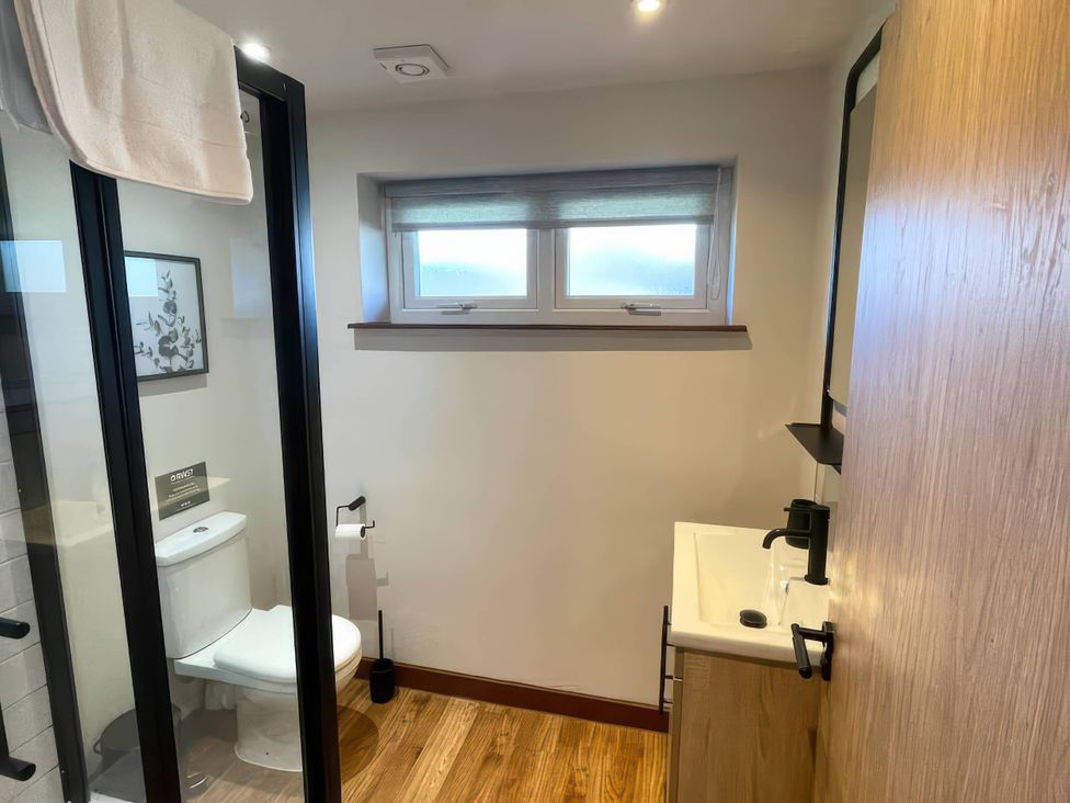 A bathroom with a shower, toilet, and sink at River View Cottage in Llanrwst