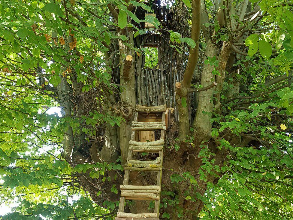 Fairview - Suffolk & Essex - 1191411 - thumbnail photo 42