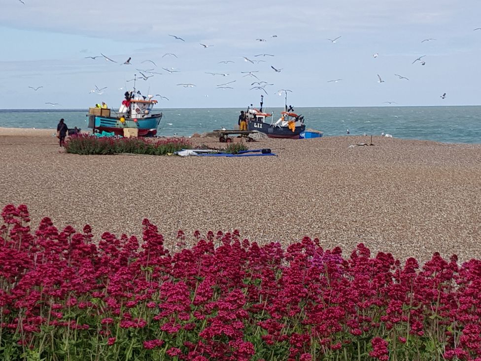Fishing boats on a pebbled beach with flowers at Fairview in Darsham