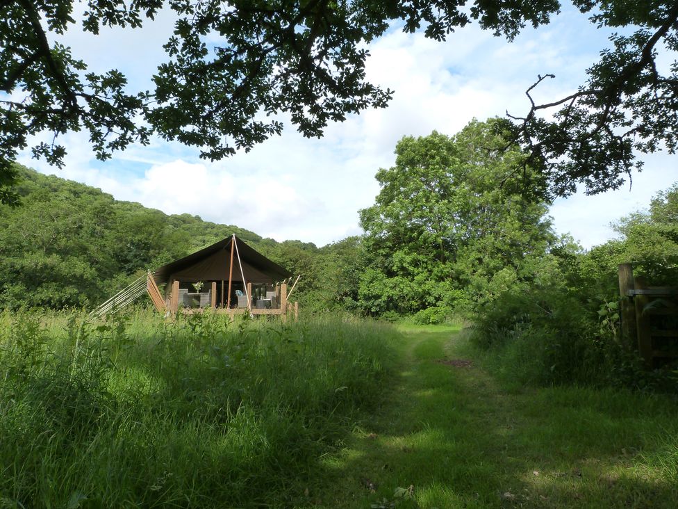 A tent near a grassy path surrounded by trees at Teifi in Newcastle Emlyn