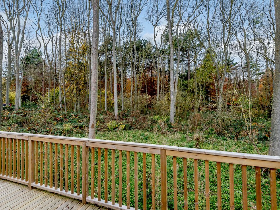 A view of a wooded area with trees from a deck at Tennyson Spa in Louth