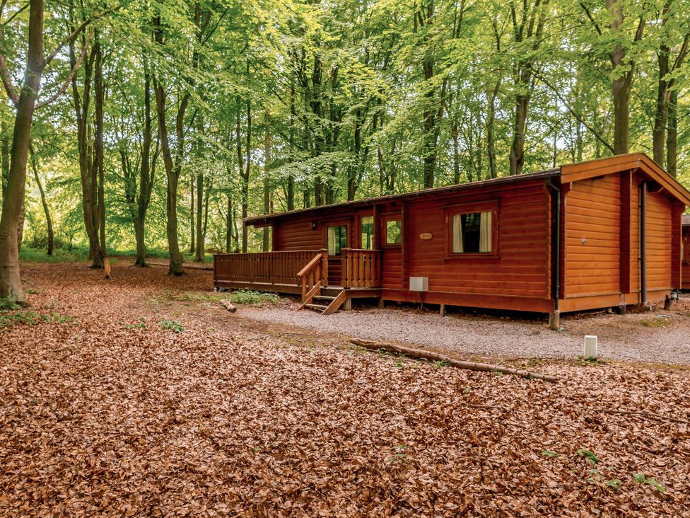 A wooden cabin in a forest surrounded by leaves at Maple Lodge in Louth