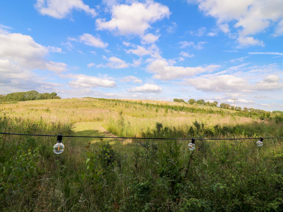 A view of a grassy field with lightbulbs on a wire and power lines at Kingfisher Hut