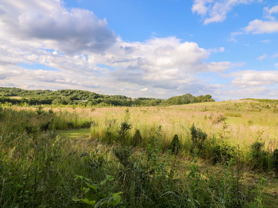 A field with grass and trees under a cloudy sky at Kingfisher Hut