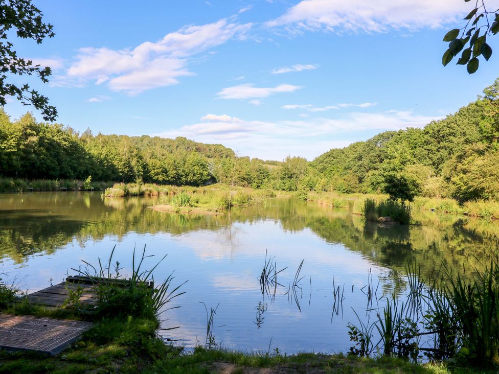 A pond with trees and grass at Kingfisher Hut