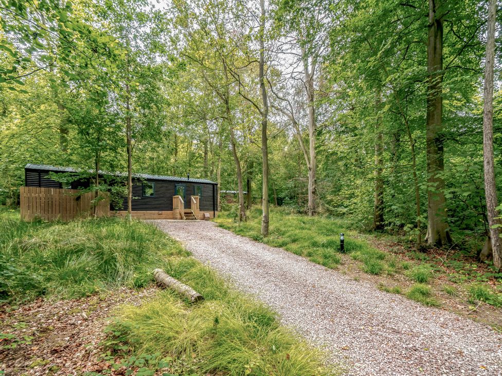 A cabin with a gravel path surrounded by trees at Horncastle Spa in Louth