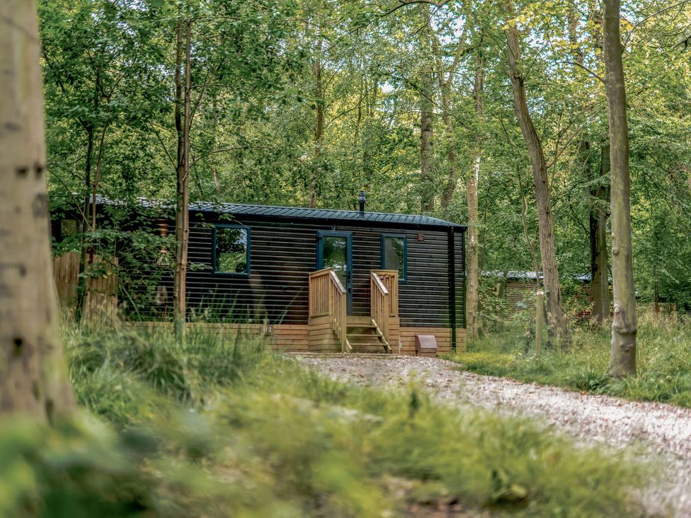 A cabin in a wooded area at Horncastle Spa Louth