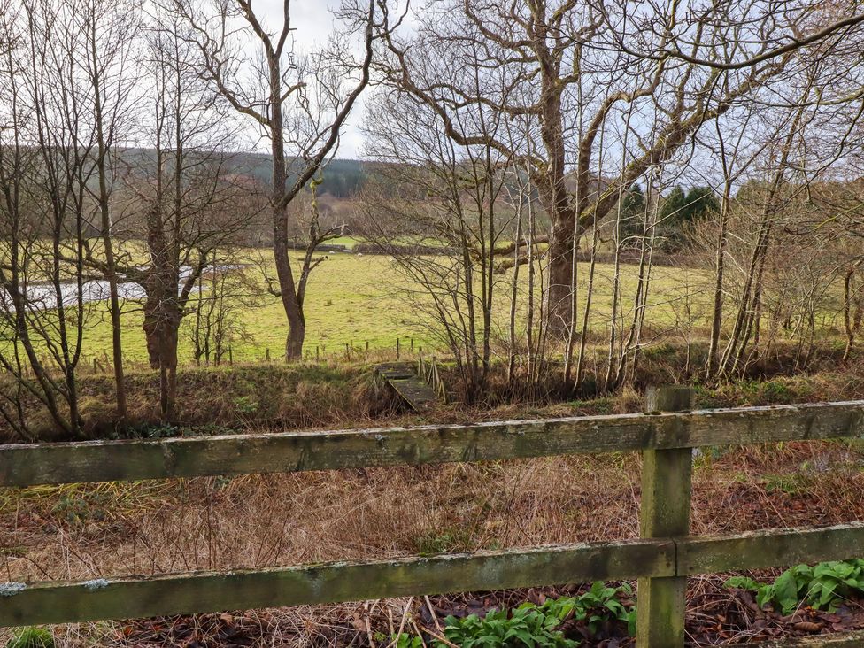 A view of trees and grass with a water body at Meadows in Hexham