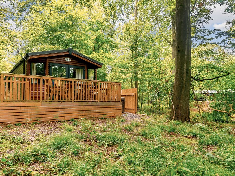 Alford Spa (Pet) - Lincolnshire - 1191546 - thumbnail photo 5